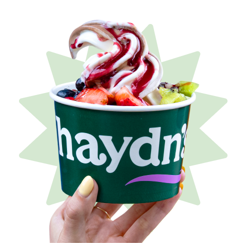 Haydn's Frozen Yogurt bowl