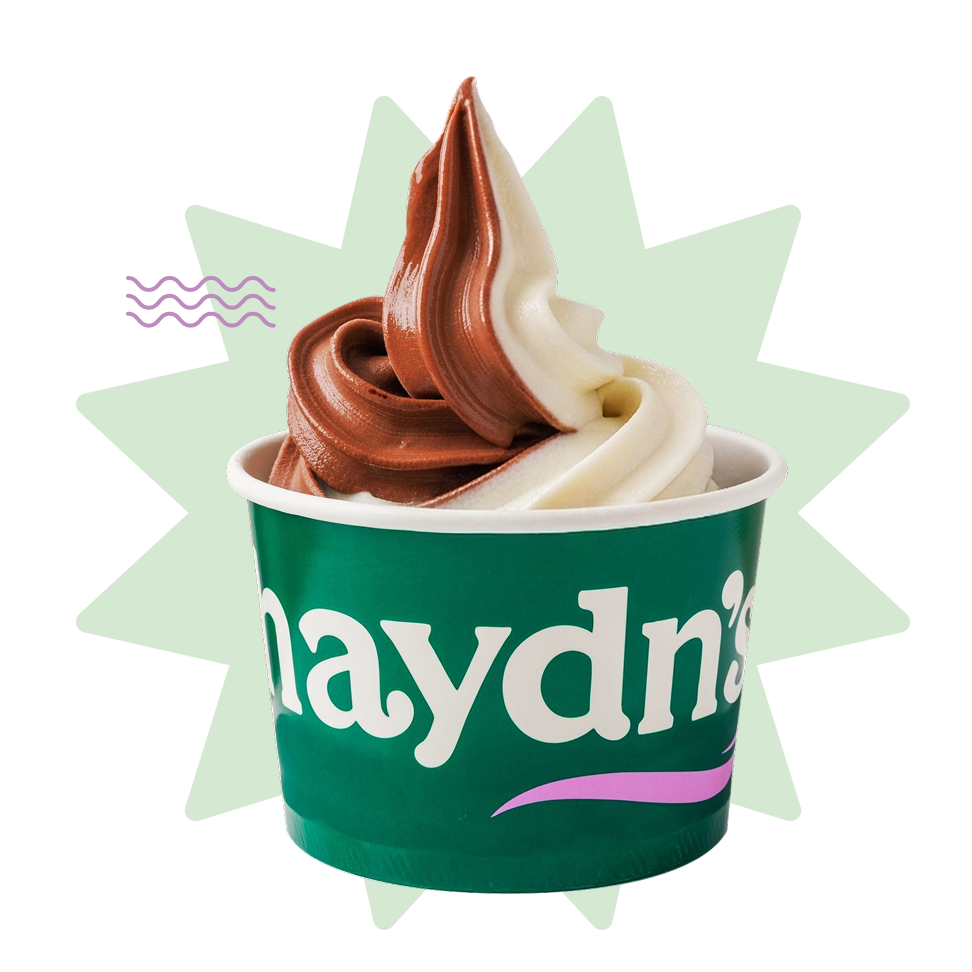 Haydn's Frozen Yogurt bowl Haydn's Frozen Yogurt bowl